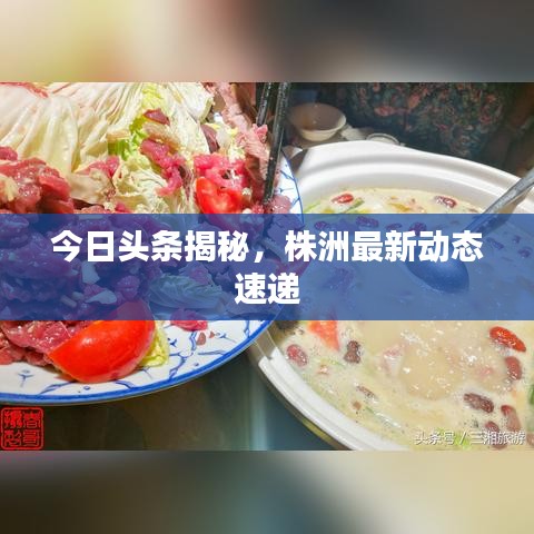 今日头条揭秘，株洲最新动态速递