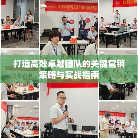 打造高效卓越团队的关键营销策略与实战指南