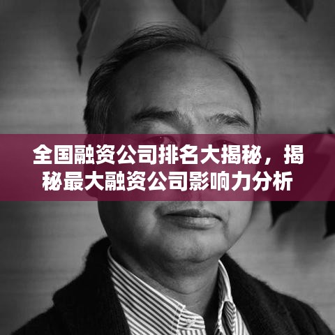 全国融资公司排名大揭秘，揭秘最大融资公司影响力分析
