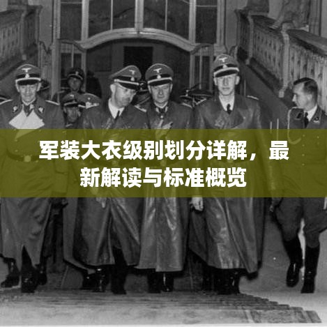 军装大衣级别划分详解，最新解读与标准概览