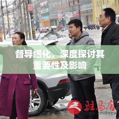 督导细化，深度探讨其重要性及影响