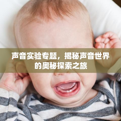 声音实验专题，揭秘声音世界的奥秘探索之旅