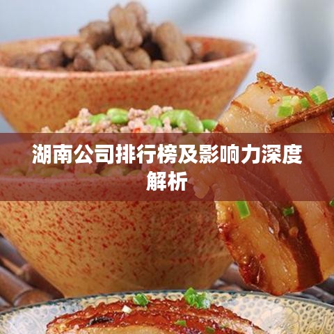 湖南公司排行榜及影响力深度解析