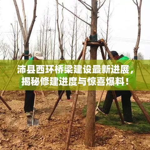 沛县西环桥梁建设最新进展，揭秘修建进度与惊喜爆料！