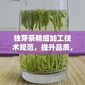 独芽茶精细加工技术规范，提升品质，百度收录必备指南