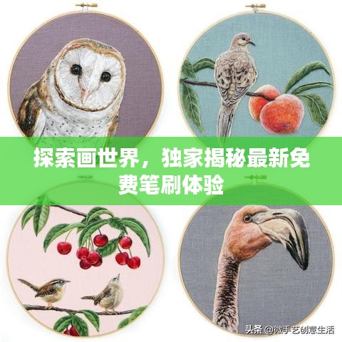 探索画世界，独家揭秘最新免费笔刷体验