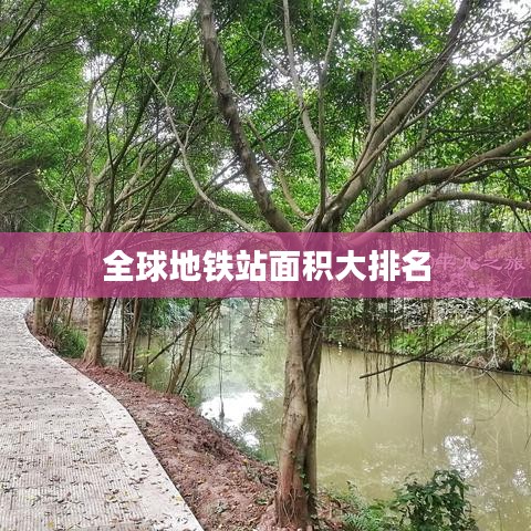 全球地铁站面积大排名