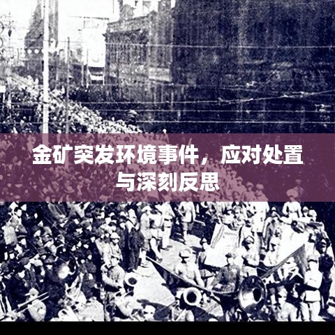 金矿突发环境事件，应对处置与深刻反思