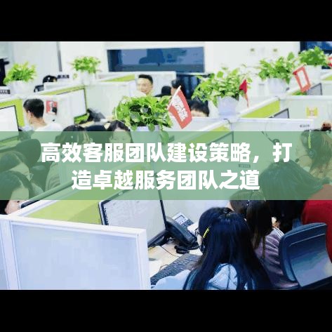 高效客服团队建设策略，打造卓越服务团队之道
