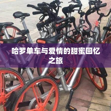 哈罗单车与爱情的甜蜜回忆之旅