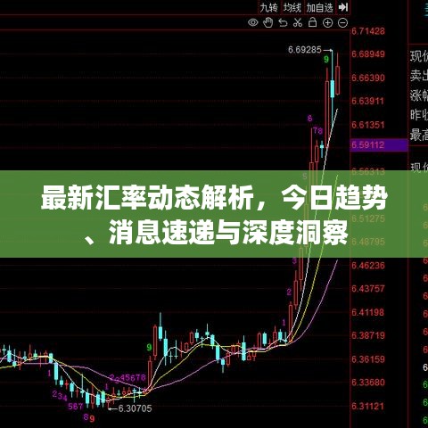 最新汇率动态解析，今日趋势、消息速递与深度洞察
