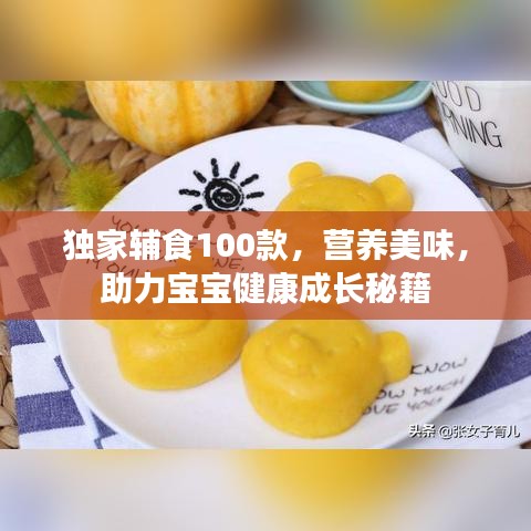 独家辅食100款，营养美味，助力宝宝健康成长秘籍