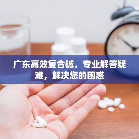 广东高效复合碱，专业解答疑难，解决您的困惑