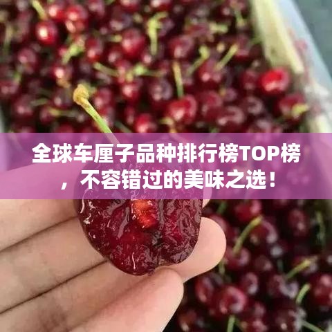 全球车厘子品种排行榜TOP榜，不容错过的美味之选！