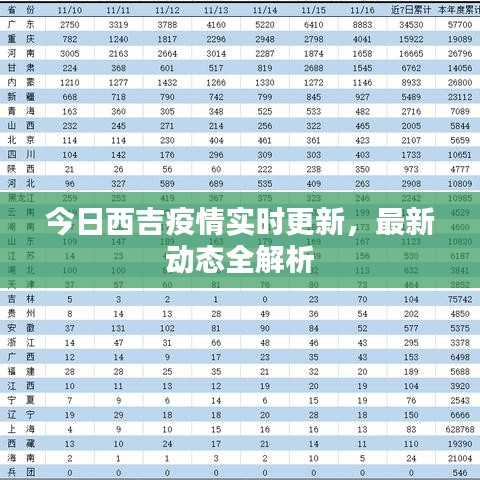 今日西吉疫情实时更新，最新动态全解析