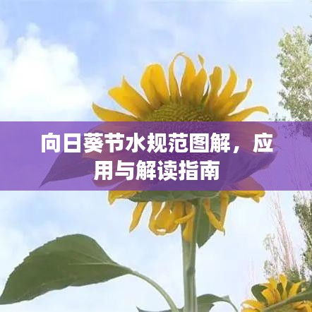 向日葵节水规范图解，应用与解读指南