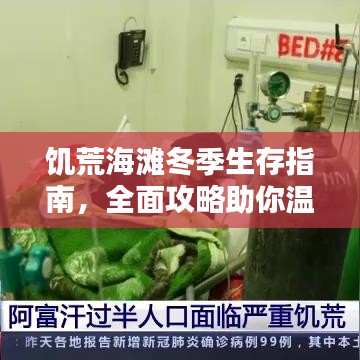 饥荒海滩冬季生存指南，全面攻略助你温暖过冬