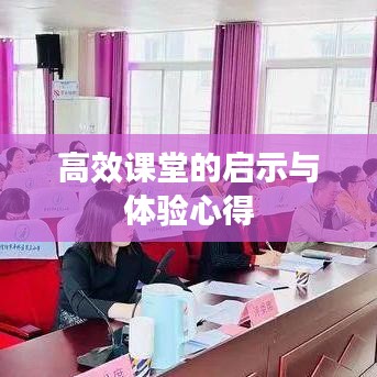 高效课堂的启示与体验心得