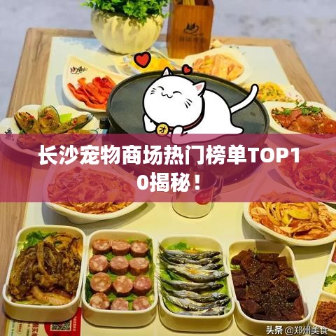 长沙宠物商场热门榜单TOP10揭秘！
