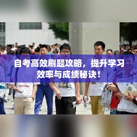 自考高效刷题攻略，提升学习效率与成绩秘诀！
