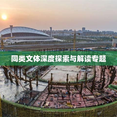 同类文体深度探索与解读专题