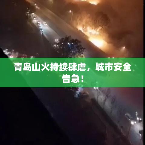 青岛山火持续肆虐，城市安全告急！