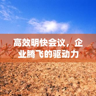 高效明快会议，企业腾飞的驱动力