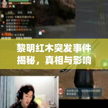 黎明红木突发事件揭秘，真相与影响探究