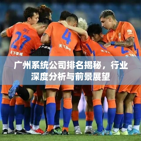 广州系统公司排名揭秘，行业深度分析与前景展望
