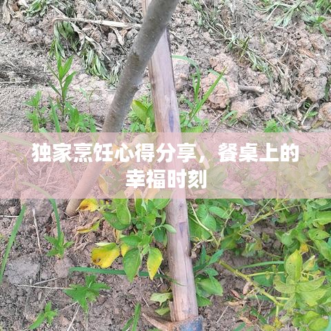 独家烹饪心得分享，餐桌上的幸福时刻