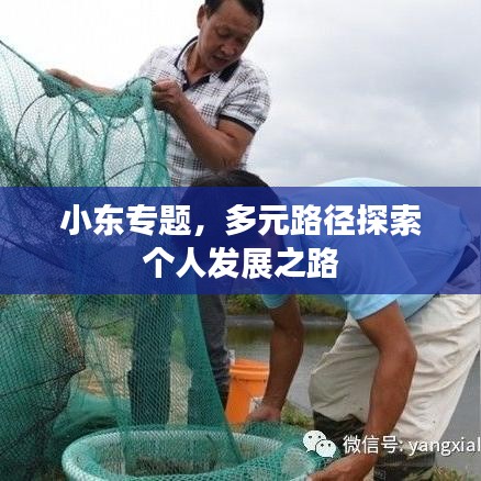 小东专题，多元路径探索个人发展之路