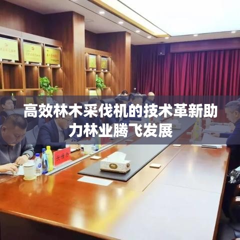 高效林木采伐机的技术革新助力林业腾飞发展
