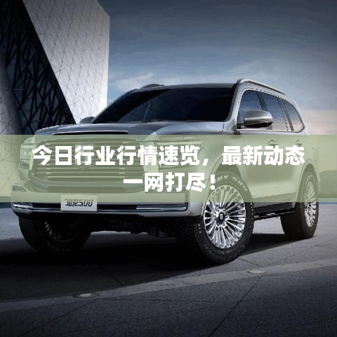 今日行业行情速览，最新动态一网打尽！