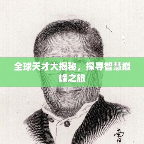 全球天才大揭秘，探寻智慧巅峰之旅