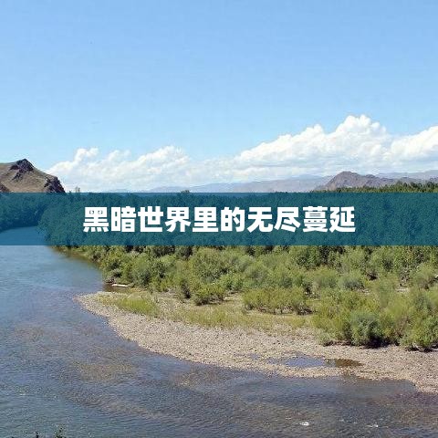 黑暗世界里的无尽蔓延