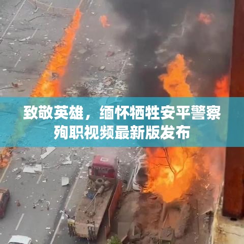 致敬英雄，缅怀牺牲安平警察殉职视频最新版发布