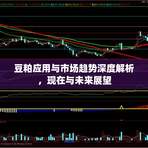 豆粕应用与市场趋势深度解析，现在与未来展望