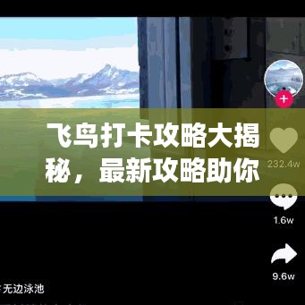 飞鸟打卡攻略大揭秘，最新攻略助你畅游天际！