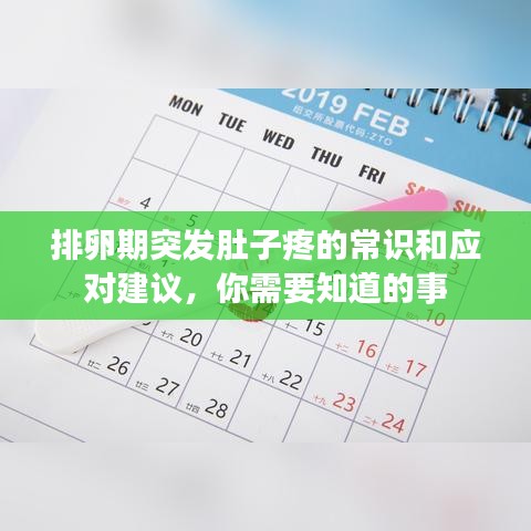 排卵期突发肚子疼的常识和应对建议，你需要知道的事