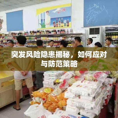 突发风险隐患揭秘，如何应对与防范策略