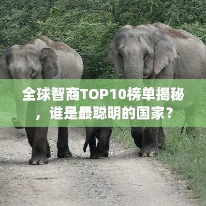 全球智商TOP10榜单揭秘，谁是最聪明的国家？