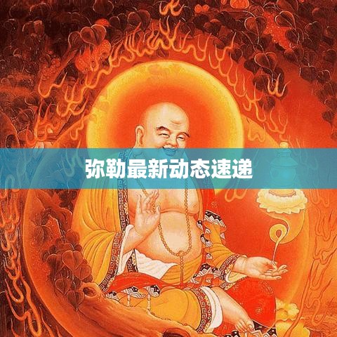 弥勒最新动态速递