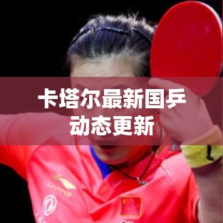 卡塔尔最新国乒动态更新