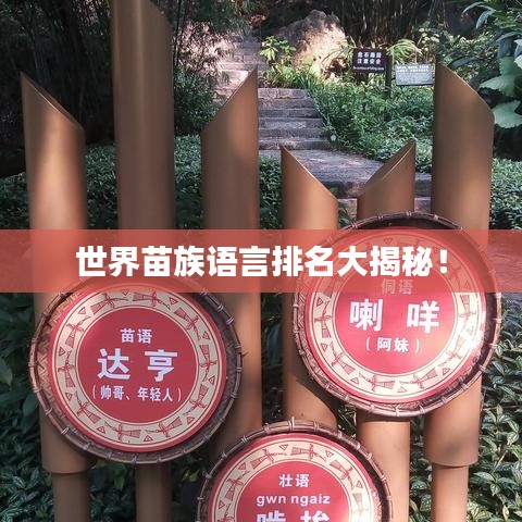 世界苗族语言排名大揭秘！