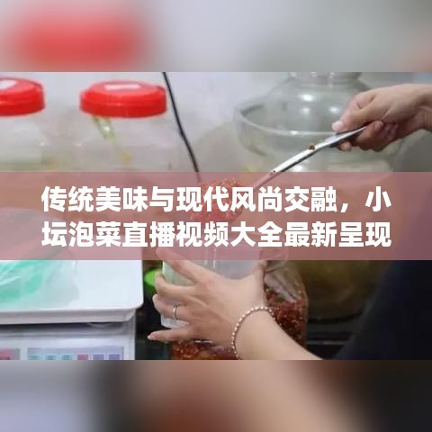 传统美味与现代风尚交融，小坛泡菜直播视频大全最新呈现