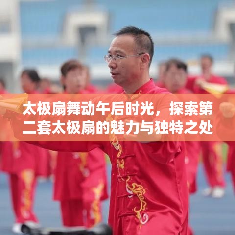 太极扇舞动午后时光，探索第二套太极扇的魅力与独特之处