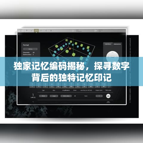 独家记忆编码揭秘，探寻数字背后的独特记忆印记