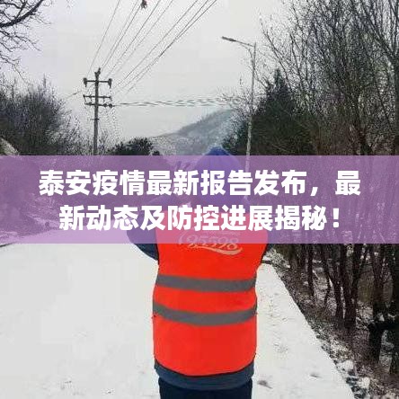 泰安疫情最新报告发布，最新动态及防控进展揭秘！