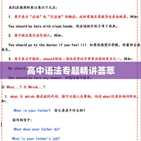 高中语法专题精讲荟萃