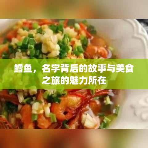 鳕鱼，名字背后的故事与美食之旅的魅力所在
